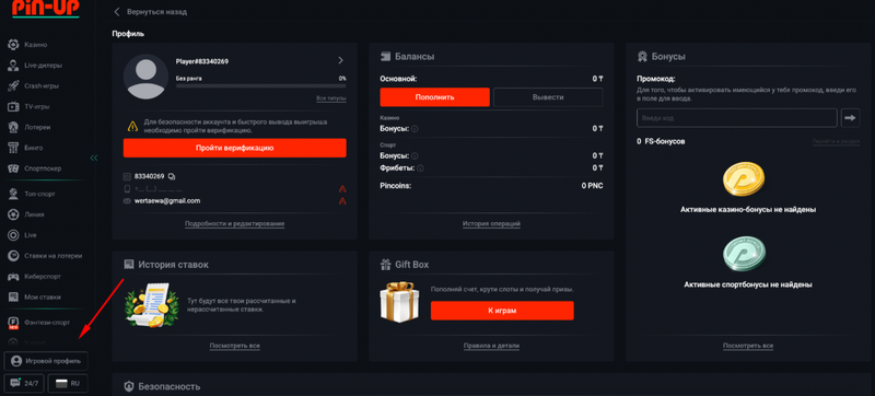 Верификация в Пин Ап